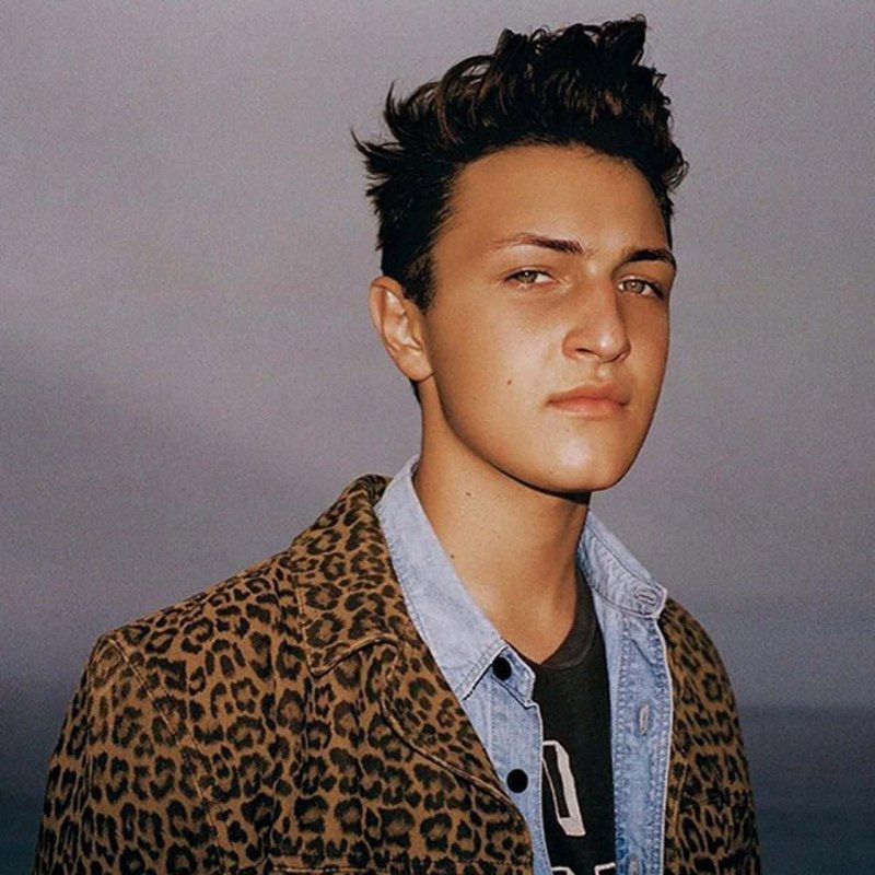 Anwar hadid