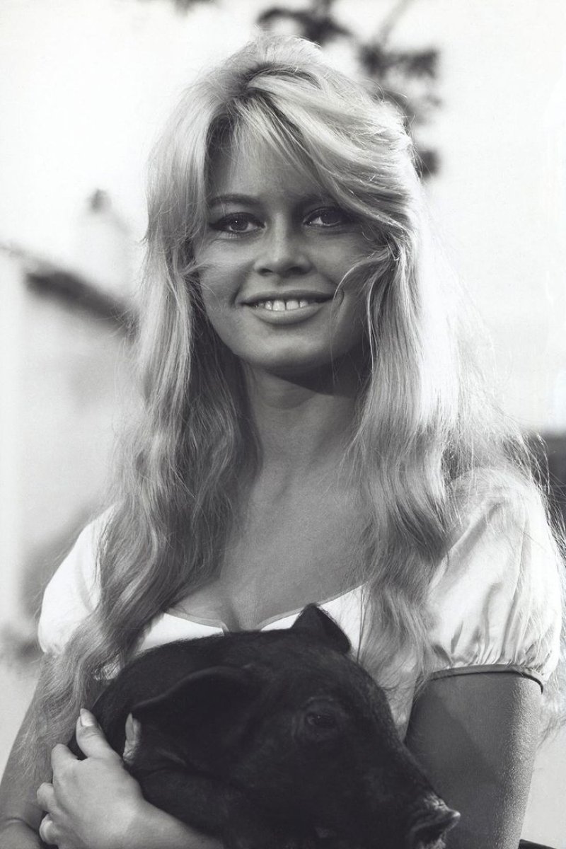 Bridget bardot