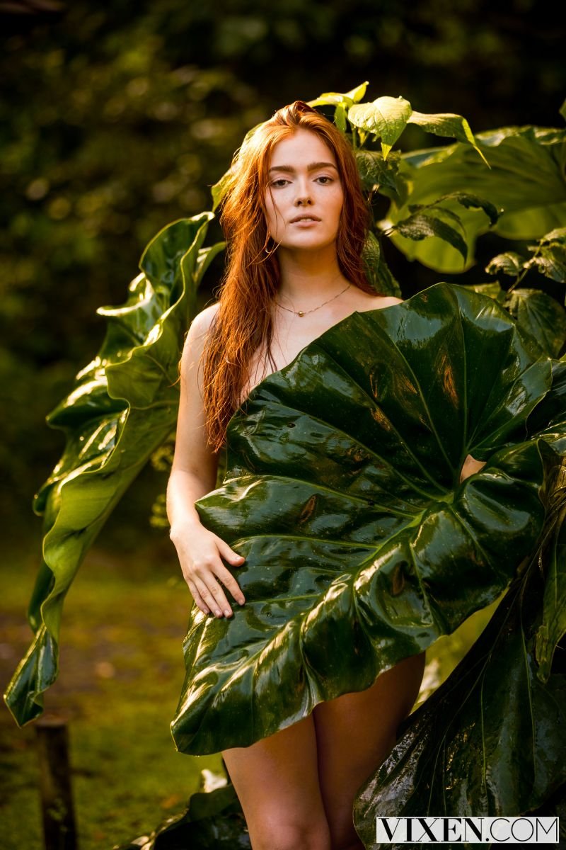 Джиа лисса jia lissa