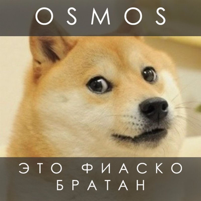 Сиба ину doge