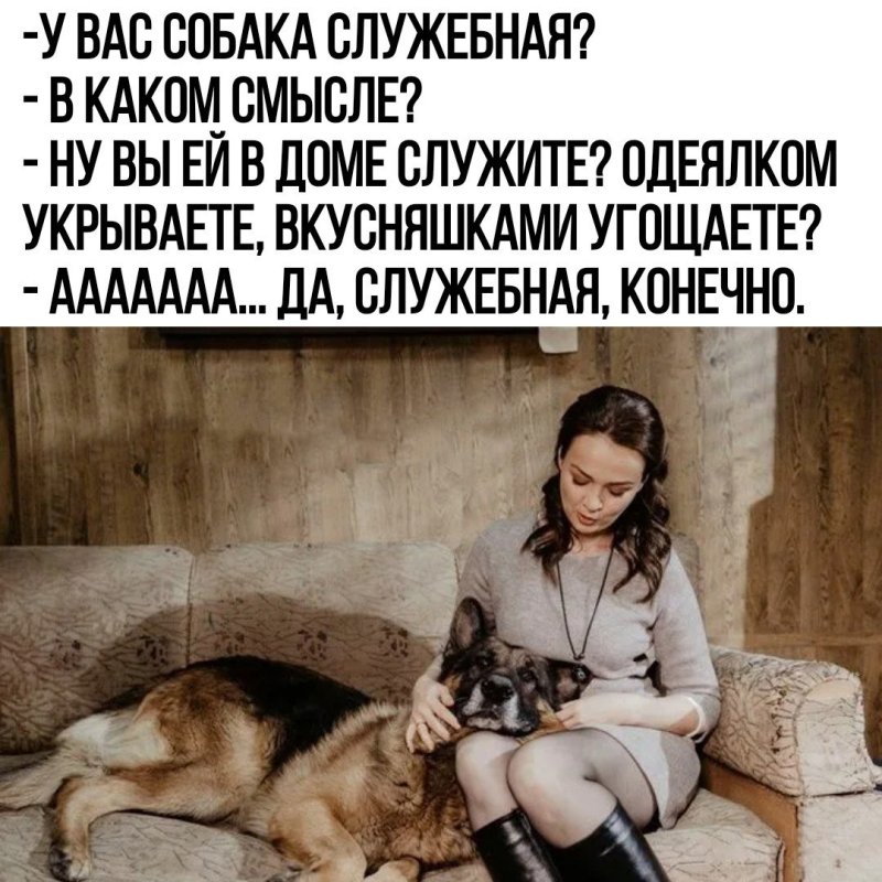 Сериал пес лена