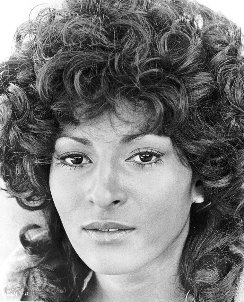 Pam grier