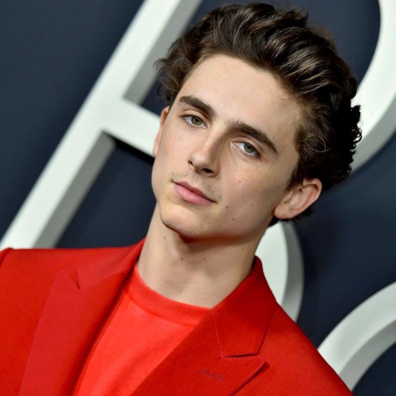 Timothee chalamet