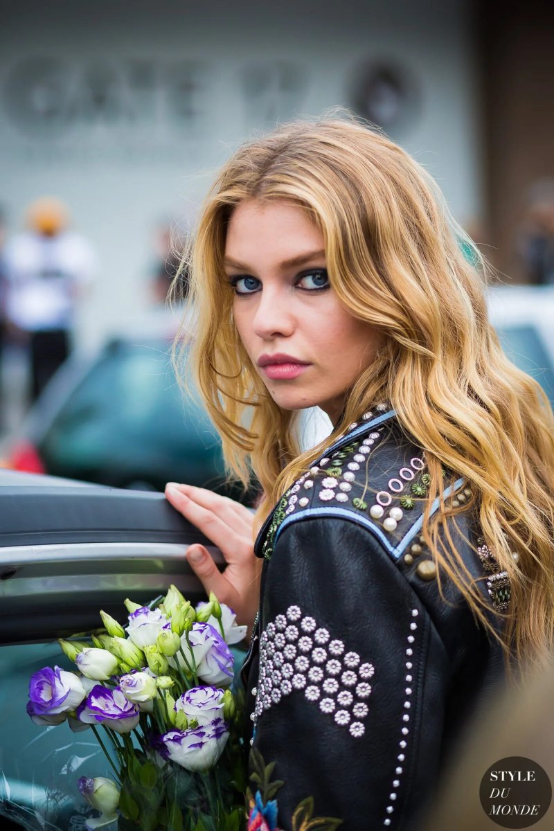 Stella maxwell