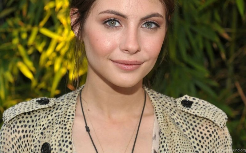 Willa holland