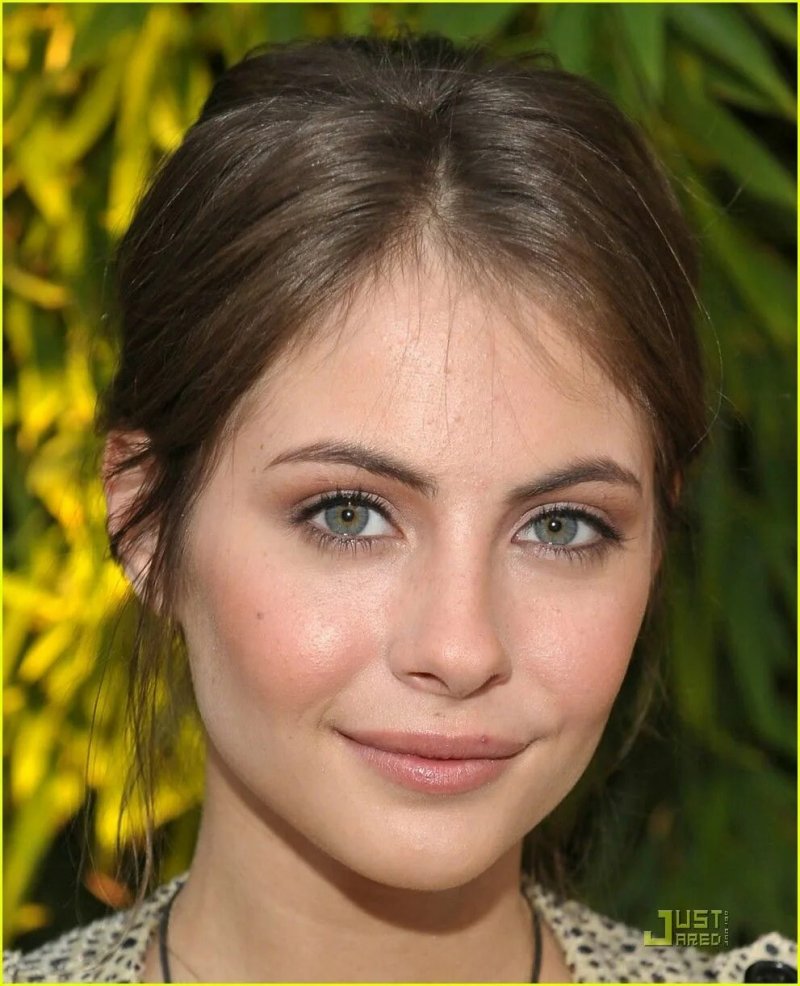 Willa holland