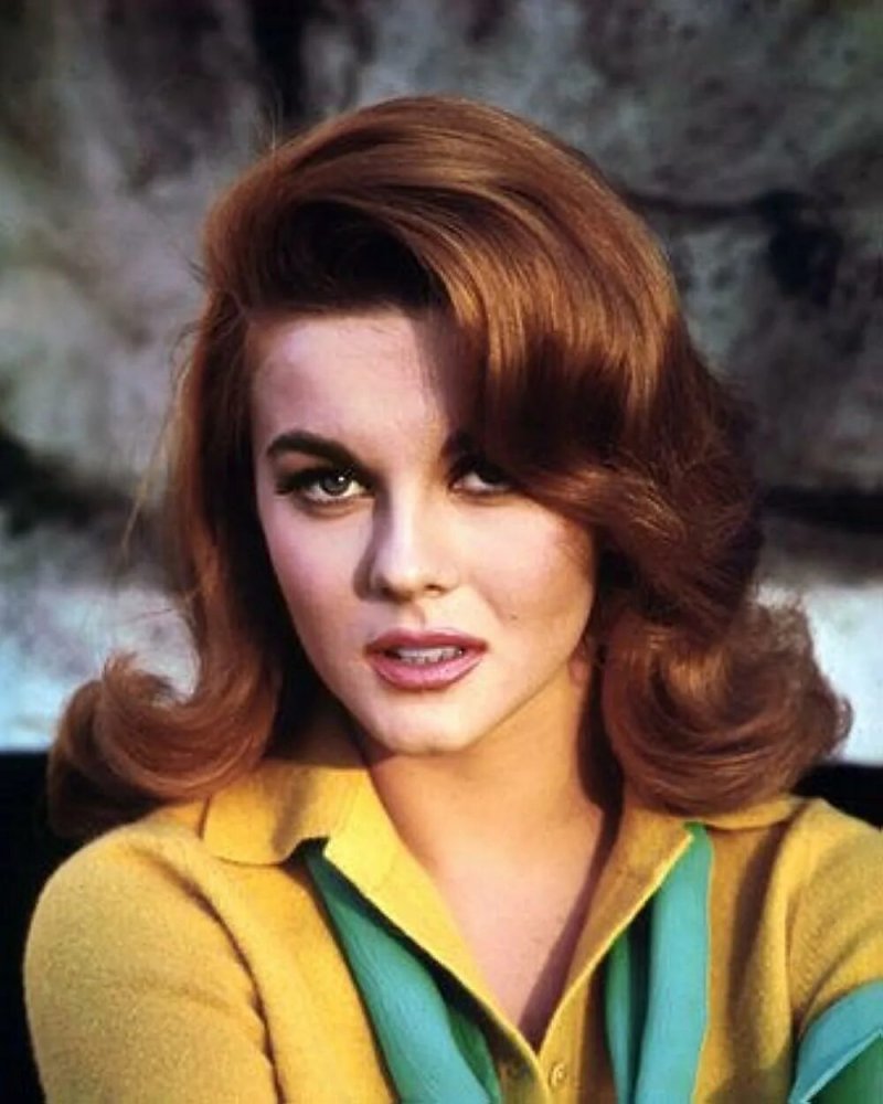 Ann margret