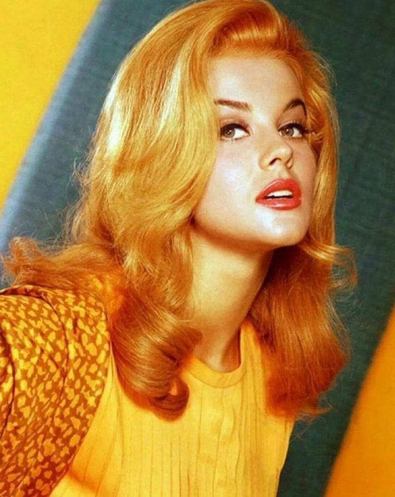 Ann margret