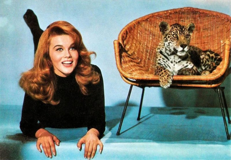 Ann margret