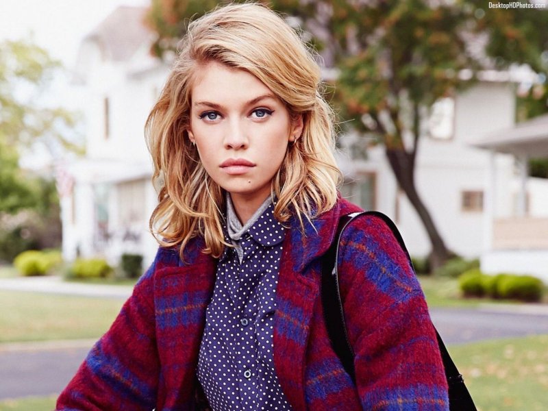 Stella maxwell